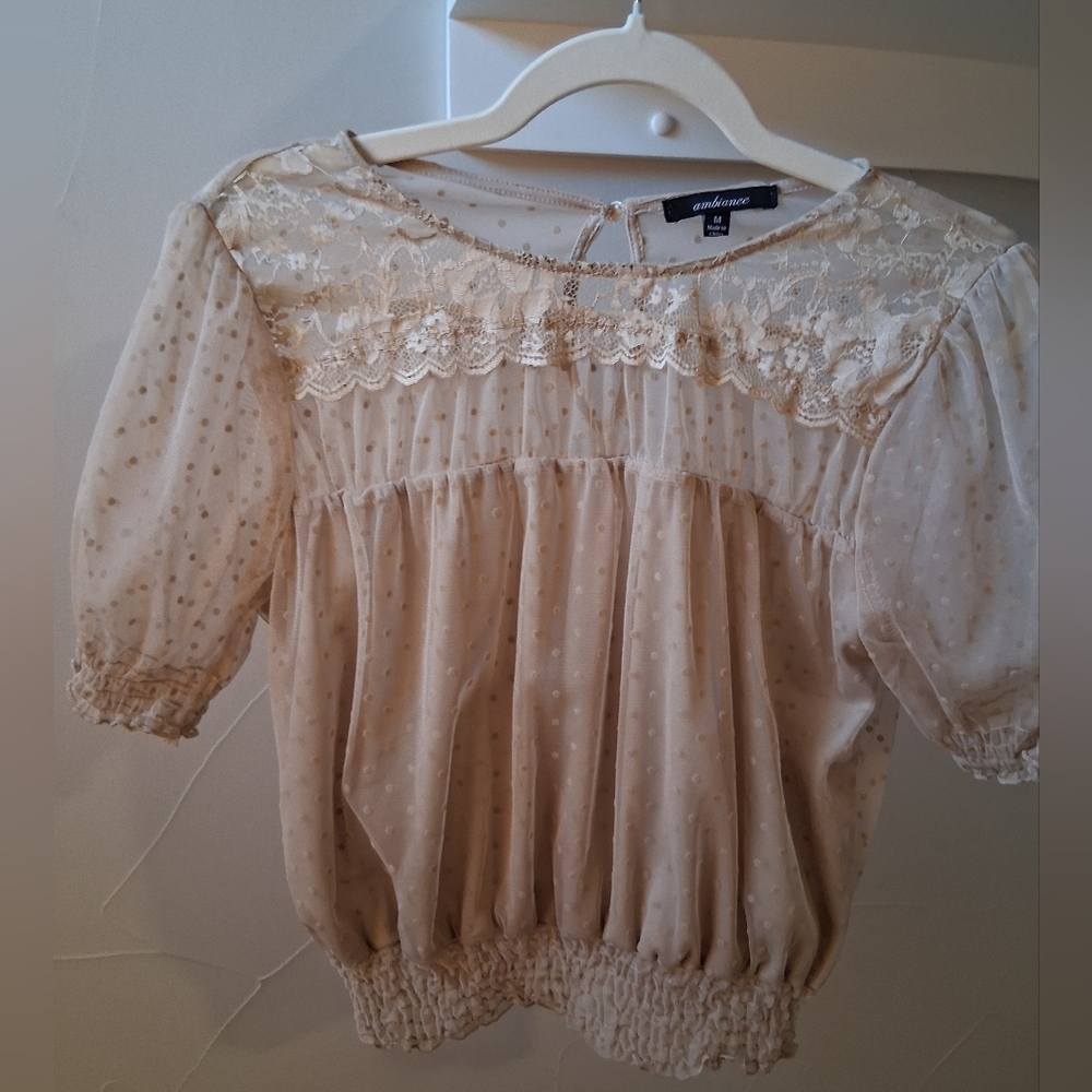 Ambiance Sheer Tan Lace Blouse Elastic Waist Size M (runs small)